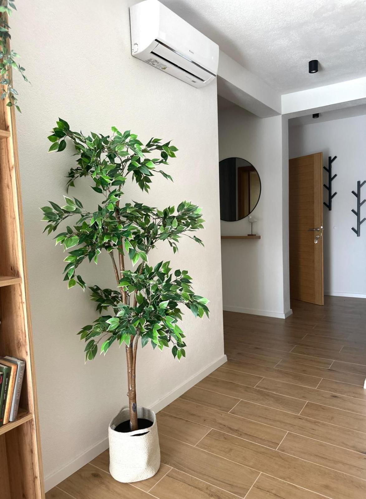 Apartmani Palada Poljica  Buitenkant foto